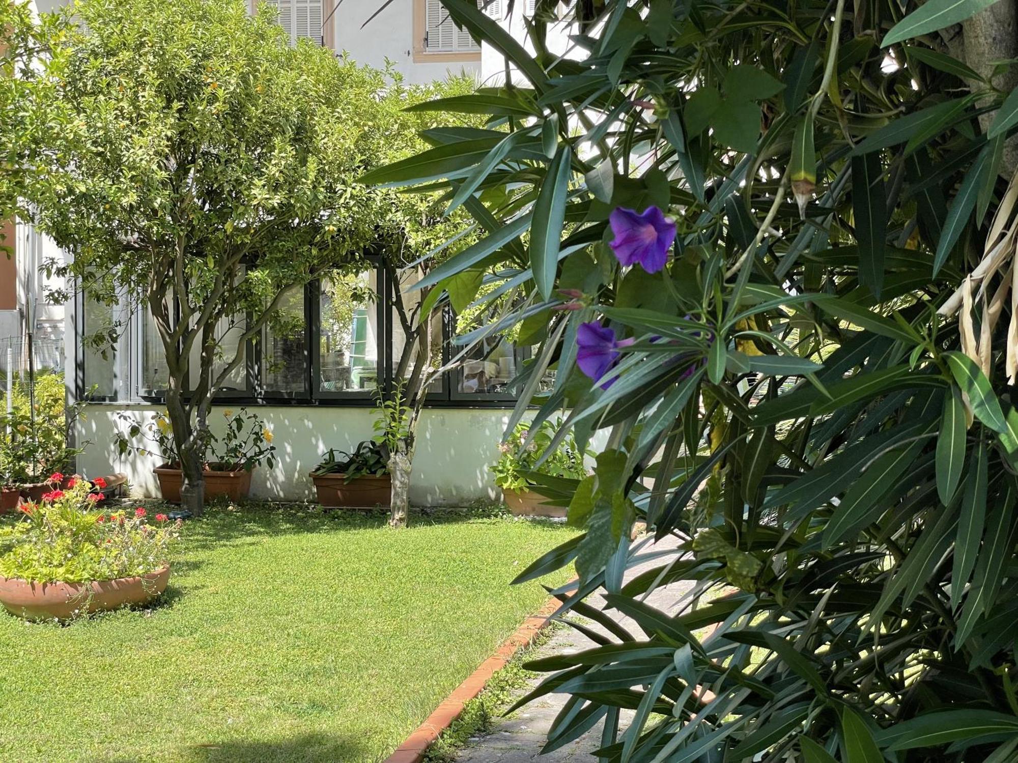 Hotel Rosalia 보르디게라 외부 사진